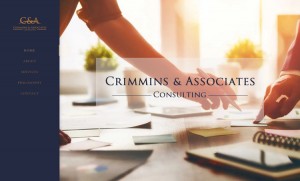 Crimmins Consulting website